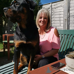 Photo №1.  - à vendre en ville de Deià | négocié | Annonce №163410