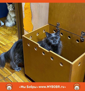 Photo №3. Coto-toilettes de en Fédération de Russie