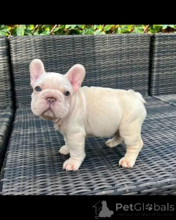 Photo №1.  - à vendre en ville de Biensence | négocié | Annonce №167023