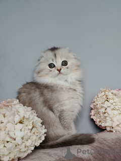 Photo №3. Catherine. Fédération de Russie