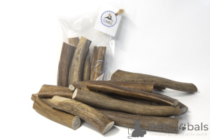 Photo №4. Corne dimensionnelle cungale du cerf du nord et de l'orignal en Fédération de Russie. Annonce № 139156