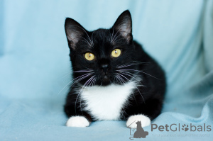 Photo №3. Fiat aristocratique. Biélorussie