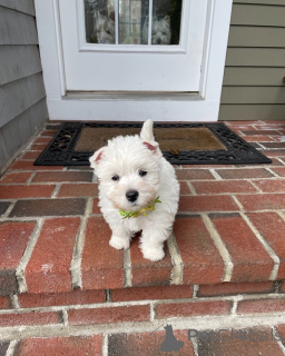 Photo №1.  - à vendre en ville de Augsbourg | 400€ | Annonce №148955