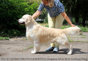 Photos supplémentaires: Chiots GOLDEN RETRIEVER