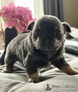 Photo №1.  - à vendre en ville de Grevesmühlen | 290€ | Annonce №167681