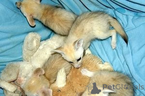 Photo №1.  - à vendre en ville de Anderlecht | négocié | Annonce № 160503