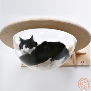 Photo №3. Complexe mural pour chats Stratosphère en Fédération de Russie