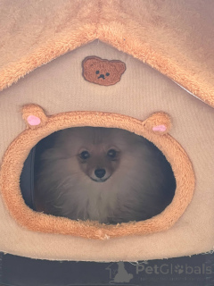 Photo №3. Evan Imad Yousif. La finlande