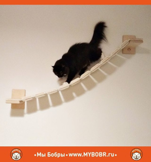 Photo №3. Kit de suspension pour chats 