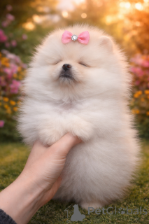 Photo №3. Fille VIP critique !. Ukraine