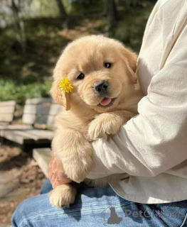 Photo №3. Je recherche une bonne maison en MP avec moi et votre emplacement pour plus. Espagne