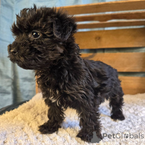 Photo №1.  - à vendre en ville de Berlin | 600€ | Annonce №135813