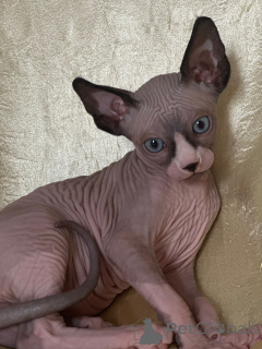 Photo №3. Nataliia. Allemagne