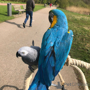 Photo №1.  - à vendre en ville de Copenvague | négocié | Annonce №157975