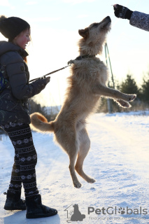 Photos supplémentaires: Kuzya!