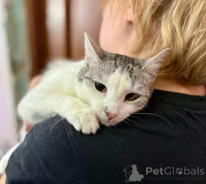 Photo №4. Je vais vendre  en ville de Rivière moscou. annonce privée - prix - Gratuit