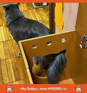 Photo №2. Meubles pour chiens et chats en Fédération de Russie. Prix - 81€. Annonce № 5301
