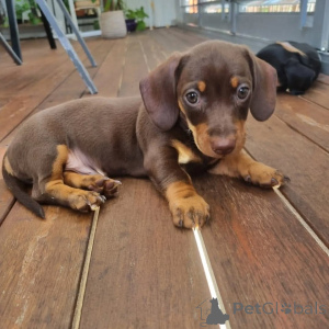 Photo №2 de l'annonce № 163559 de la vente  - acheter à Canada 