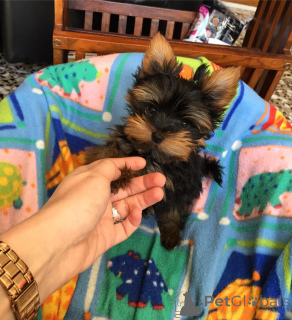 Photo №1.  - à vendre en ville de Düsseldorf | 300€ | Annonce №143877