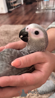 Photo №1.  - à vendre en ville de Barcelone | 1700€ | Annonce №132500