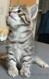 Photo №1.  - à vendre en ville de Херцогенаурах | 70€ | Annonce № 139948