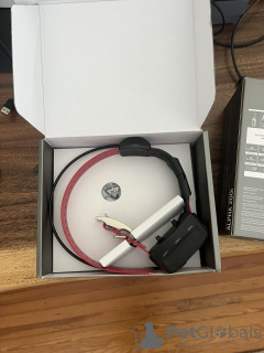 Photo №2 de l'annonce № 63534 de la vente  - acheter à USA annonce privée