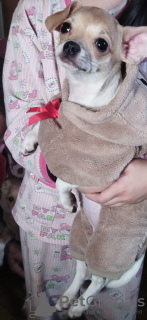 Photo №4. Je vais vendre  en ville de Kiev. annonce privée - prix - 234€