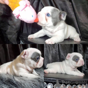 Photo №1.  - à vendre en ville de Algermissen | 484€ | Annonce №161141