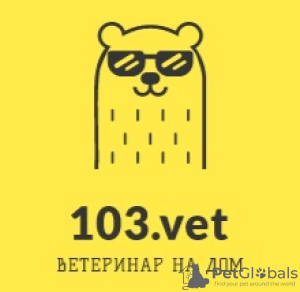 Photo №1. Services vétérinaires en ville de Minsk. Price - 13€. Annonce № 8116