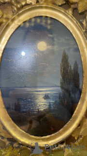 Photo №1. scottish straight - à vendre en ville de Almaty | 194€ | Annonce № 164786