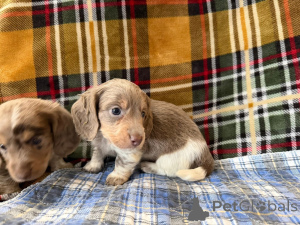 Photo №1.  - à vendre en ville de Berlin | négocié | Annonce №166429