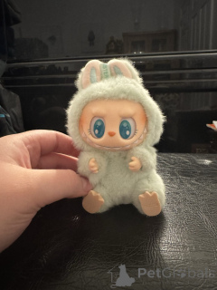 Photo №1.  - à vendre en ville de Dabbo | 96€ | Annonce № 152383