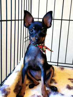 Photo №3. Olga Dyakova. Fédération de Russie