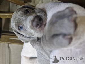 Photo №3. Natalia Nedodaeva. Kazakhstan