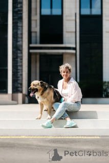 Photo №3. Le melon attend son homme.. Fédération de Russie