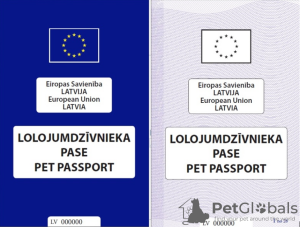 Photo №2. Services de livraison et de transportation des chats et des chiens en Ukraine. Price - négocié. Annonce № 96981