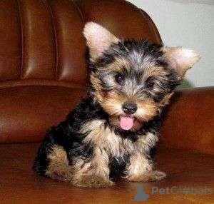 Photo №1.  - à vendre en ville de Edmonton | 581€ | Annonce №164605