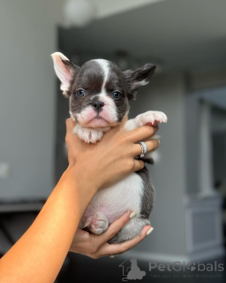 Photo №1.  - à vendre en ville de Munich | 600€ | Annonce №150644