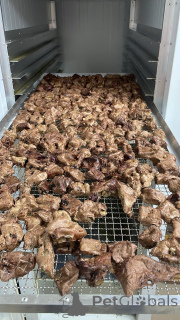 Photo №1. Offaux séchés du cerf du nord en ville de Omsk. Prix - Gratuit. Annonce № 139158