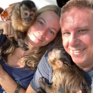 Photo №1.  - à vendre en ville de Malaga | 5000€ | Annonce № 166195