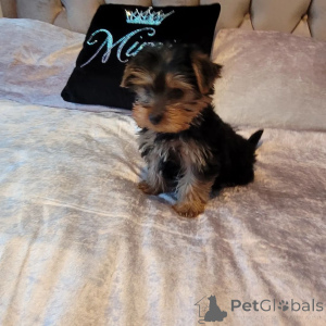 Photo №1.  - à vendre en ville de Favignana | négocié | Annonce №165637