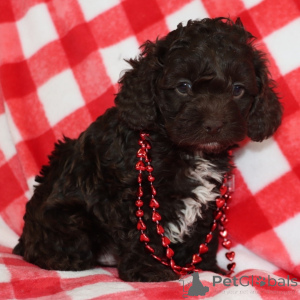 Photo №1.  - à vendre en ville de Ville de Londres | 350€ | Annonce №163935