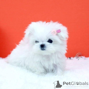 Photo №1.  - à vendre en ville de Cherkasy | 775€ | Annonce №162659