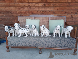 Photo №1.  - à vendre en ville de Virginia Beach | Gratuit | Annonce №139139