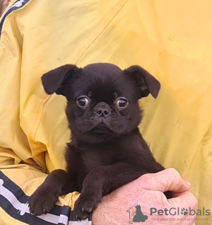 Photo №3. Filles et garçons du Petit Brabançon. La Lettonie