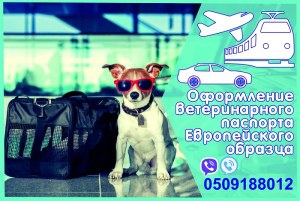 Photo №1. Services vétérinaires en ville de Kharkov. Price - Négocié. Annonce № 5053