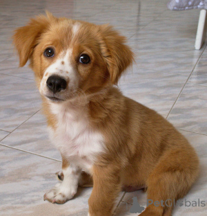 Photo №1.  - à vendre en ville de Antheia | 800€ | Annonce №162997