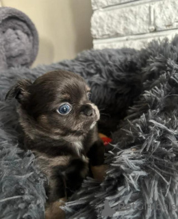 Photo №4. Je vais vendre  en ville de Grevesmühlen.  - prix - 290€