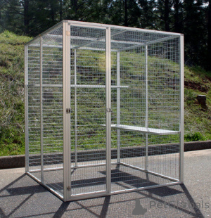 Photo №2 de l'annonce № 136341 de la vente cane corso - acheter à Allemagne éleveur