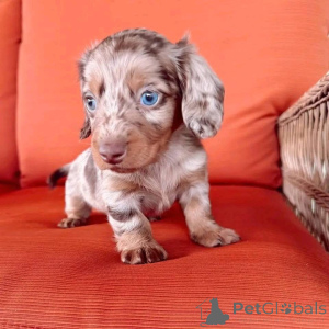 Photo №4. Je vais vendre  en ville de Arizona.  - prix - 678€